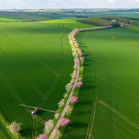 Rabbitdale Barn York