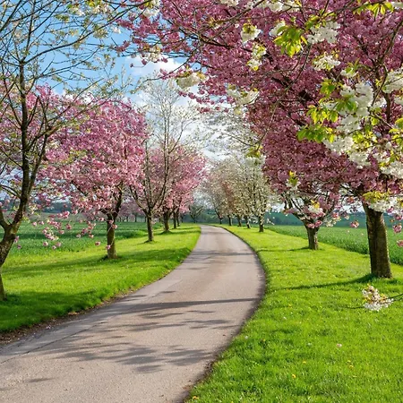 Rabbitdale Barn * York