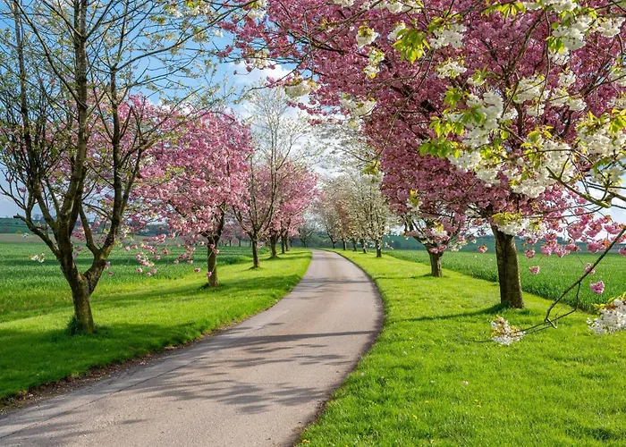 Rabbitdale Barn * York