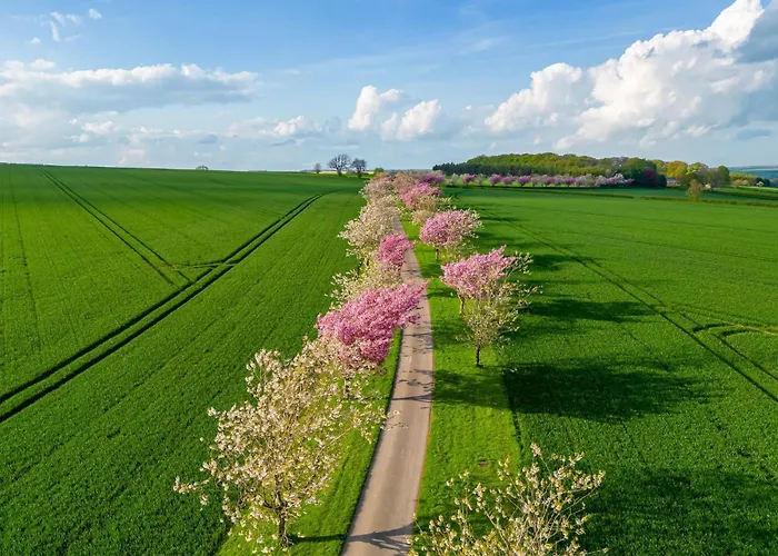 Rabbitdale Barn Holiday home York