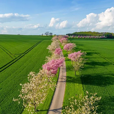 Rabbitdale Barn Tatil Evi York